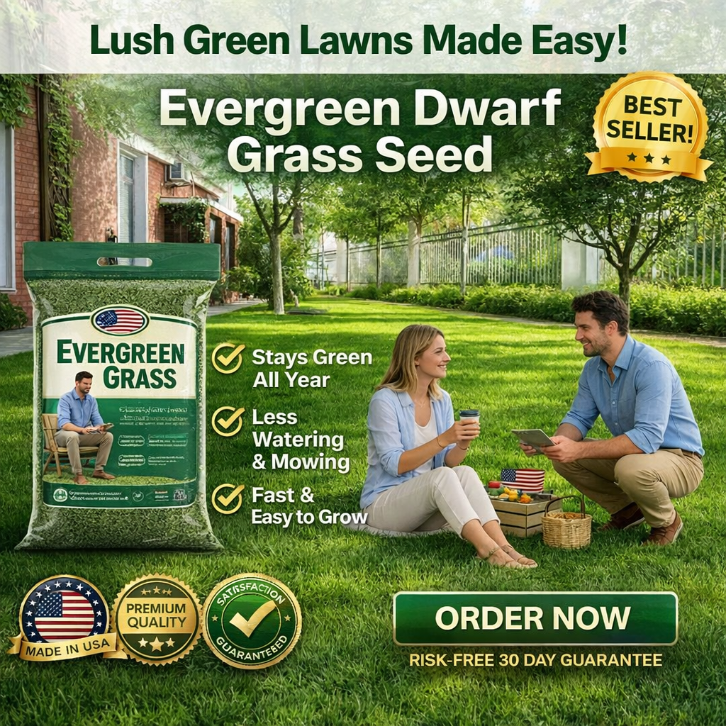 /69dca1b1ba1201000ab00d4d/2026/04/16/product-img-69e11e15373c02bd69cc091a.png