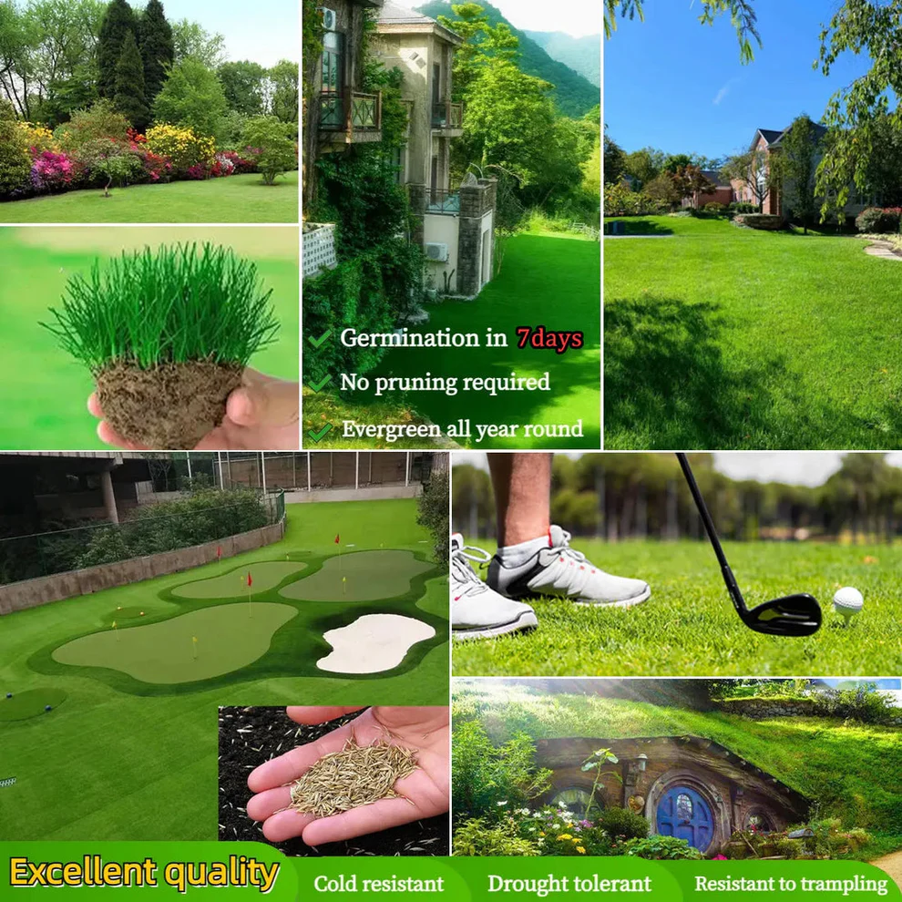 /69dca1b1ba1201000ab00d4d/2026/04/16/product-img-69e11e16373c02bd69cc091e.png